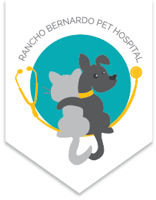 Rancho Bernardo Pet Hospital - Veterinarian